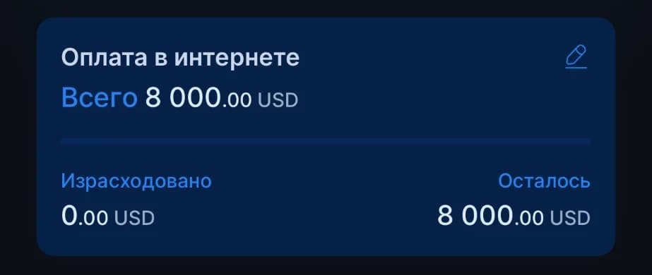 Лимит «Оплата в интернете» в приложении IBT24: всего 8 000 USD, израсходовано 0, осталось 8 000